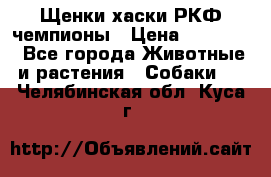 Щенки хаски РКФ чемпионы › Цена ­ 90 000 - Все города Животные и растения » Собаки   . Челябинская обл.,Куса г.